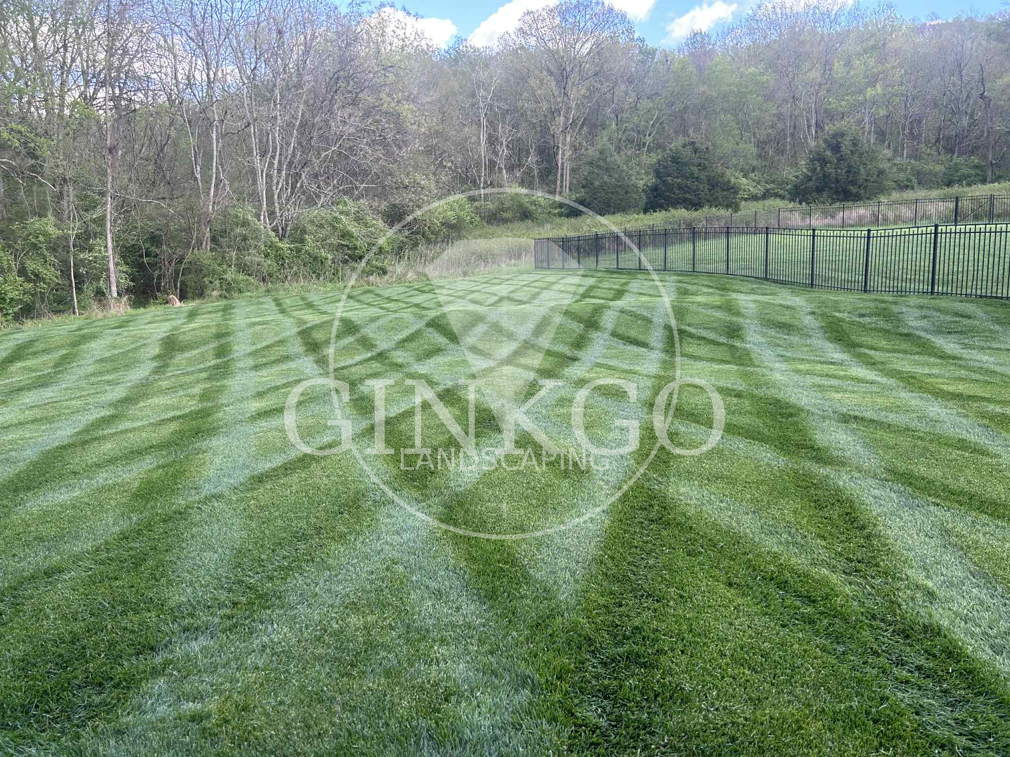 Real lawn mowing project