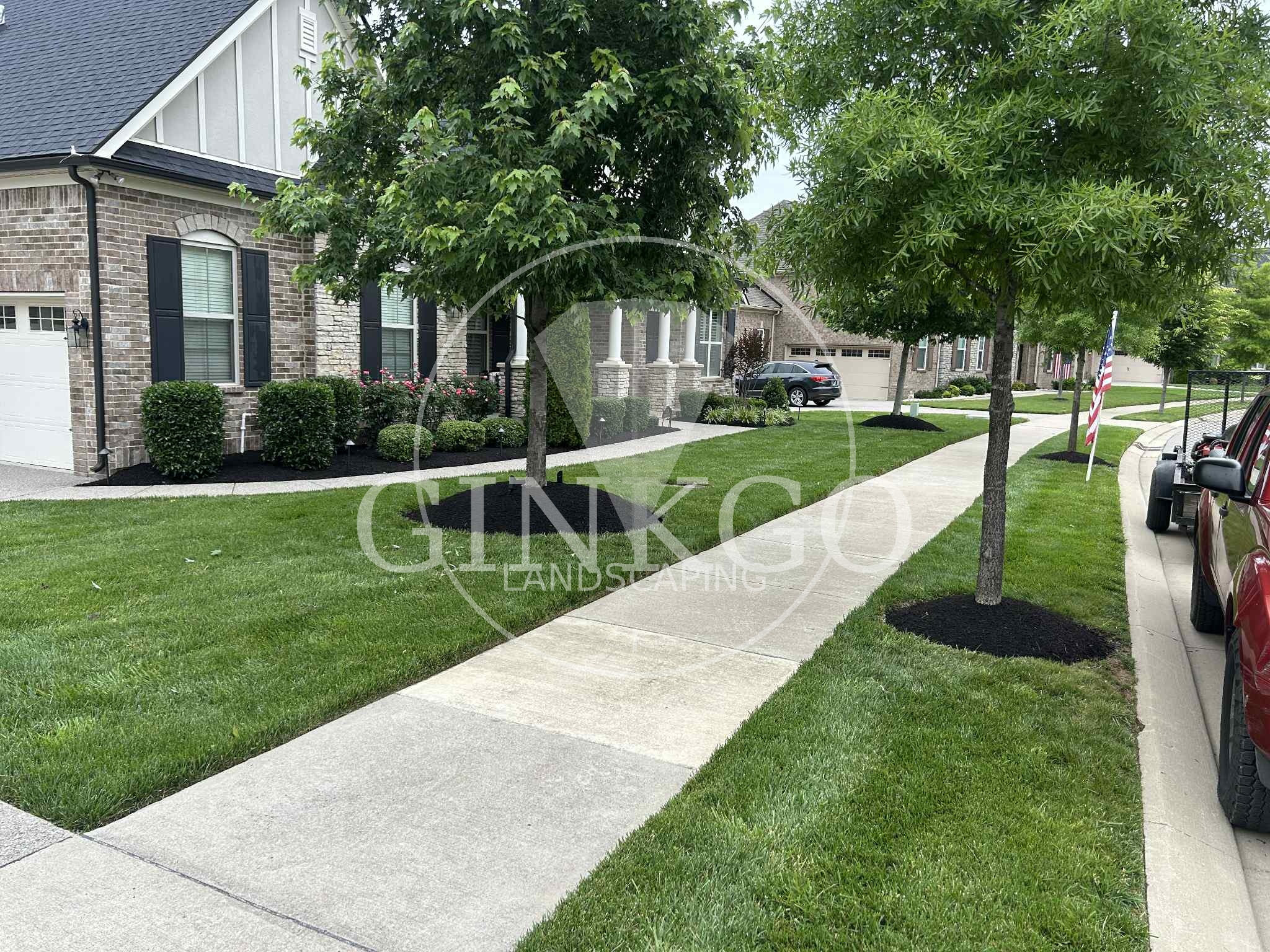 Real residential landscaping project